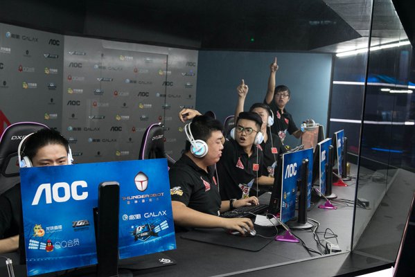 在觅食的 在觅食的